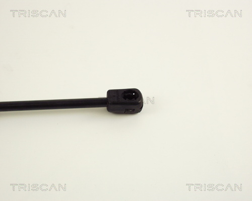 TRISCAN 8710 29231 Gasfjäder, bagageutrymme