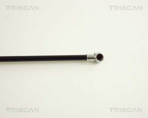 TRISCAN 8710 29234 Gasfjäder, bagageutrymme