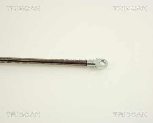 TRISCAN 8710 29235 Gasfjäder, bagageutrymme