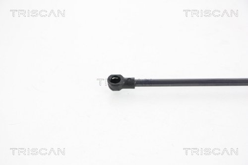TRISCAN 8710 29242 Gasfjäder, bagageutrymme