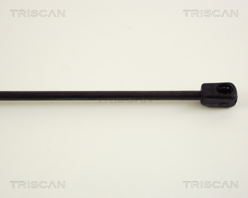 TRISCAN 8710 29243 Gasfjäder, bagageutrymme