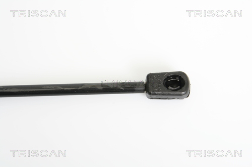 TRISCAN 8710 29245 Gasfjäder, bagageutrymme