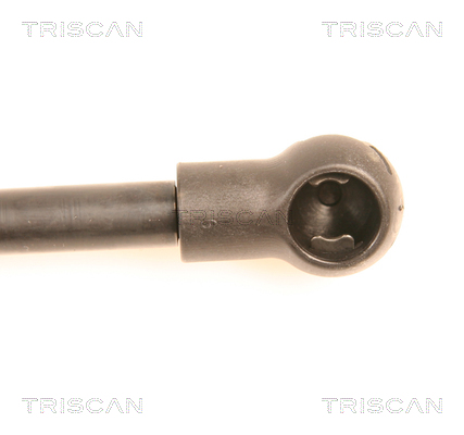 TRISCAN 8710 29249 Gasfjäder, bagageutrymme