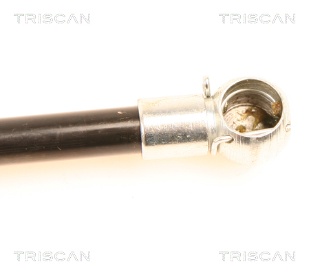 TRISCAN 8710 29250 Gasfjäder, bagageutrymme