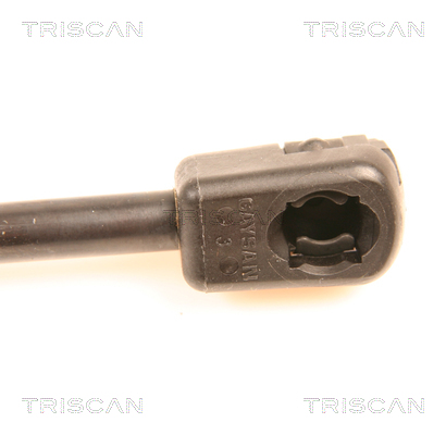 TRISCAN 8710 29251 Gasfeder, Koffer-/Laderaum
