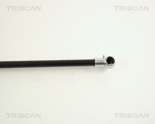 TRISCAN 8710 29262 Gasfeder, Koffer-/Laderaum