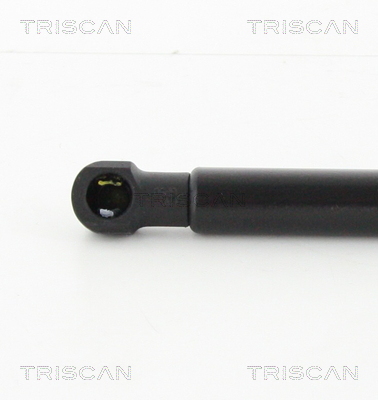 TRISCAN 8710 29284 Gasfjäder, bagageutrymme