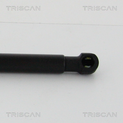 TRISCAN 8710 29286 Gasfjäder, bagageutrymme