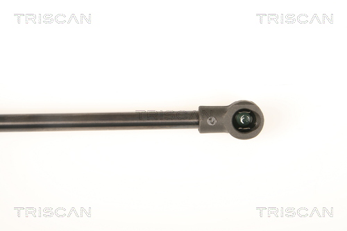 TRISCAN 8710 29288 Gasfeder, Heckscheibe