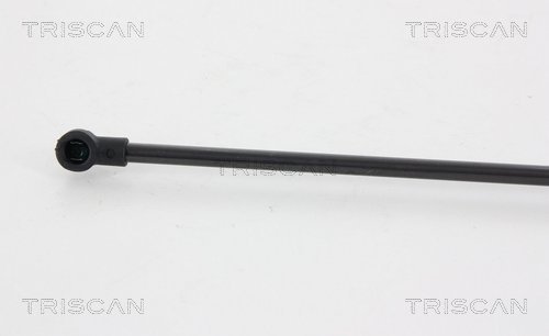 TRISCAN 8710 29297 Gasfjäder, bagageutrymme