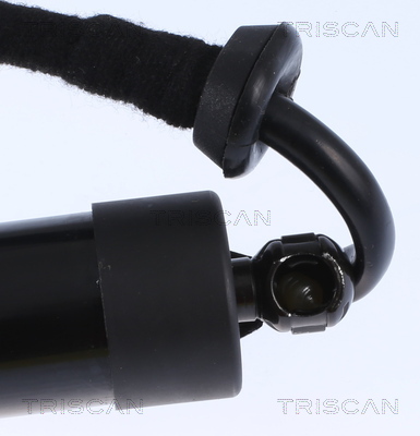 TRISCAN 8710 29301 Gasfjäder, bagageutrymme