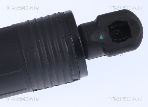 TRISCAN 8710 29302 Gasfjäder, bagageutrymme