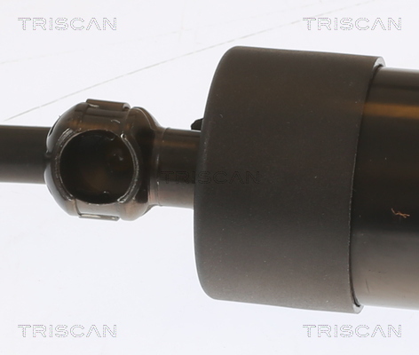 TRISCAN 8710 29303 Gasfjäder, bagageutrymme