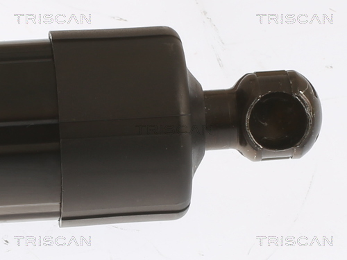 TRISCAN 8710 29303 Gasfjäder, bagageutrymme