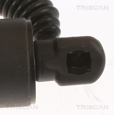 TRISCAN 8710 29305 Gasfeder, Koffer-/Laderaum