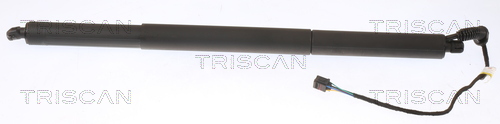 TRISCAN 8710 29306 gázrugó,...