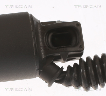 TRISCAN 8710 29307 Gasfjäder, bagageutrymme