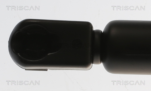 TRISCAN 8710 29315 Gasfeder, Koffer-/Laderaum