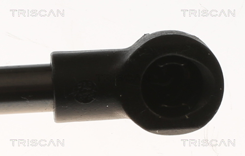 TRISCAN 8710 29315 Gasfeder, Koffer-/Laderaum