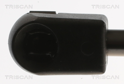 TRISCAN 8710 29316 Gasfeder, Koffer-/Laderaum