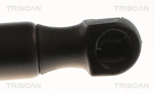 TRISCAN 8710 29316 Gasfeder, Koffer-/Laderaum