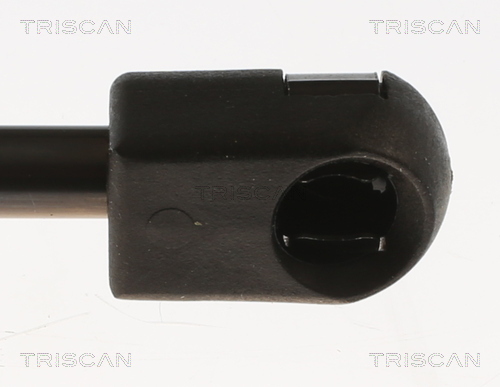 TRISCAN 8710 29317 Gasfeder, Koffer-/Laderaum
