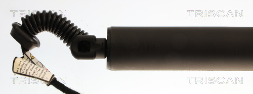 TRISCAN 8710 29324 Gasfeder, Koffer-/Laderaum