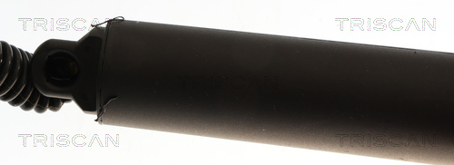 TRISCAN 8710 29325 Gasfeder, Koffer-/Laderaum