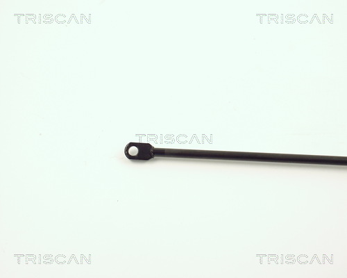 TRISCAN 8710 3801 Gasfjäder, bagageutrymme