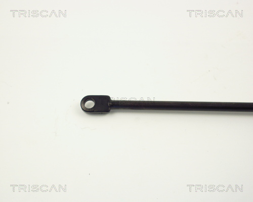 TRISCAN 8710 3802 Gasfjäder, bagageutrymme