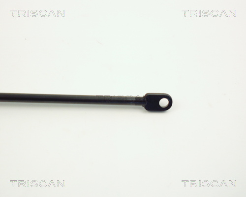 TRISCAN 8710 3806 Gasfjäder, bagageutrymme