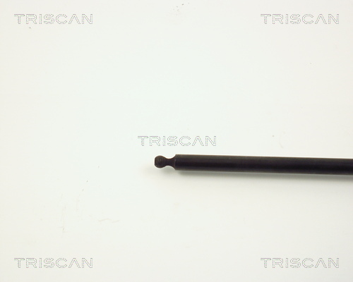 TRISCAN 8710 3807 Gasfjäder, bagageutrymme