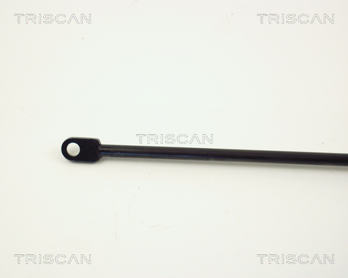 TRISCAN 8710 3809 Gasfjäder, bagageutrymme
