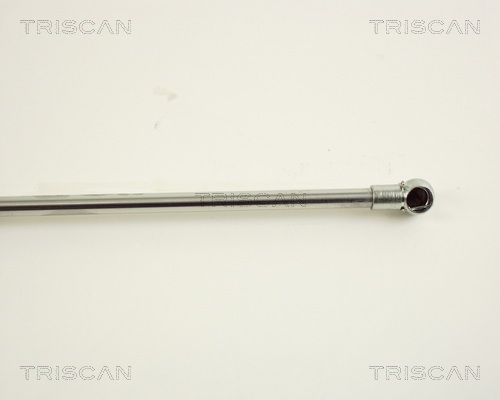 TRISCAN 8710 38102 Gasfeder, Motorhaube