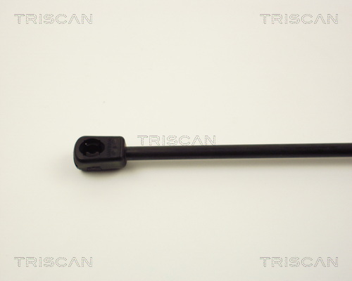 TRISCAN 8710 3810 Gasfjäder, bagageutrymme