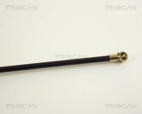 TRISCAN 8710 38201 Gasfjäder, bagageutrymme