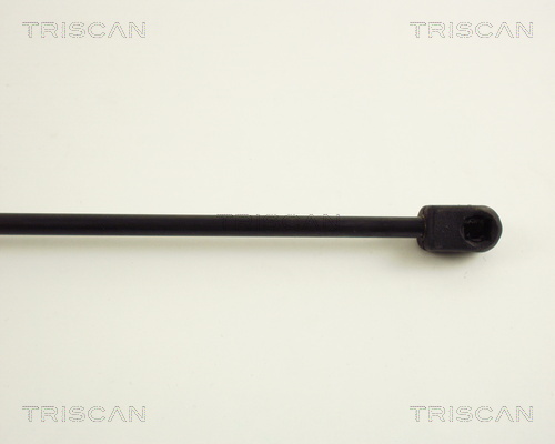 TRISCAN 8710 38202 Gasfjäder, bagageutrymme