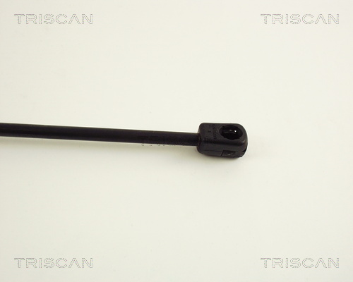 TRISCAN 8710 38203 Gasfjäder, bagageutrymme