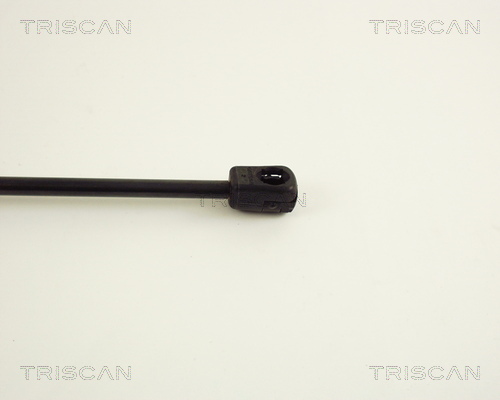TRISCAN 8710 38204 Gasfeder, Koffer-/Laderaum