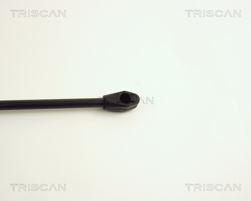 TRISCAN 8710 38205 Gasfjäder, bagageutrymme