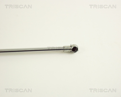 TRISCAN 8710 38207 Gasfjäder, bagageutrymme