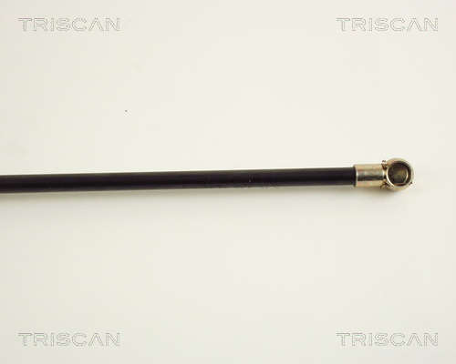 TRISCAN 8710 38209 Gasfjäder, bagageutrymme