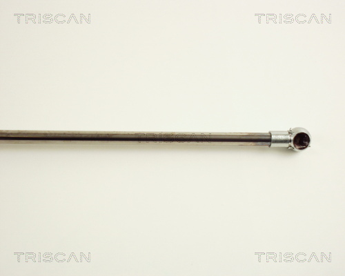 TRISCAN 8710 38210 Gasfjäder, bagageutrymme