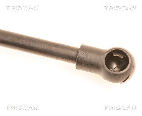 TRISCAN 8710 38214 Gasfjäder, bagageutrymme