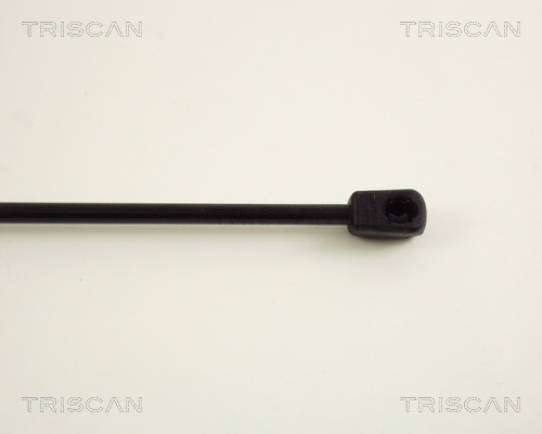 TRISCAN 8710 38216 Gasfjäder, bagageutrymme