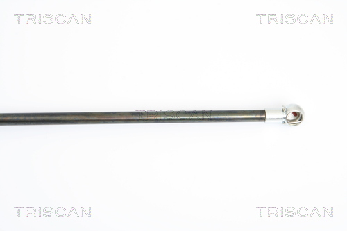TRISCAN 8710 38221 Gasfjäder, bagageutrymme