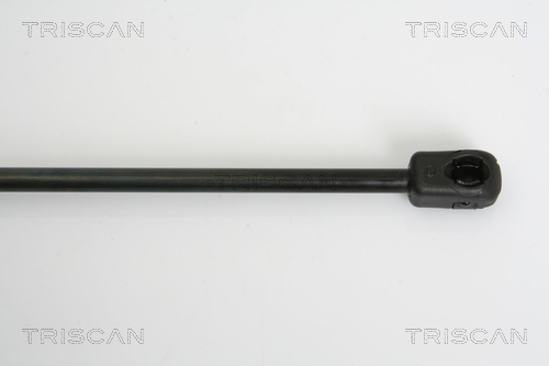 TRISCAN 8710 38222 Gasfjäder, bagageutrymme
