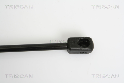 TRISCAN 8710 38224 Gasfjäder, bagageutrymme