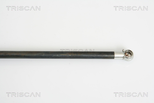 TRISCAN 8710 38225 Gasfjäder, bagageutrymme