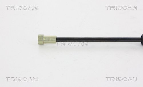 TRISCAN 8710 38226 Gasfjäder, bagageutrymme